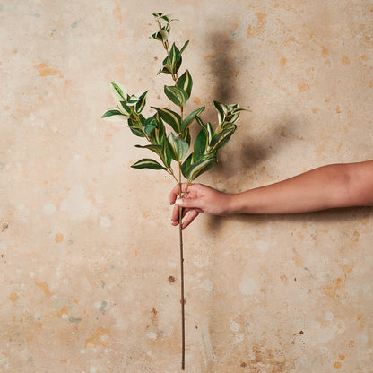 Tradescantia Leaf Spray Real Touch Stem