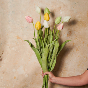 Tulip Flower Stem