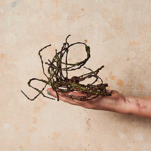 Vine Twine Brown Real Touch