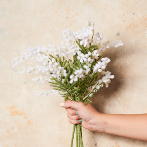 Wattle Real Touch Flower Stem