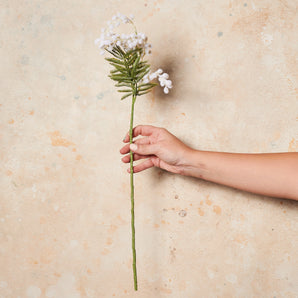 Wattle Real Touch Flower Stem