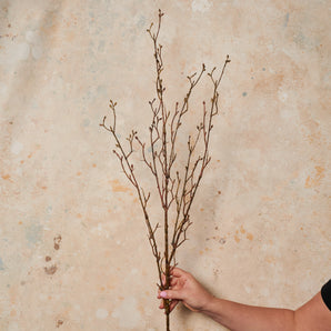Willow Stick Real Touch