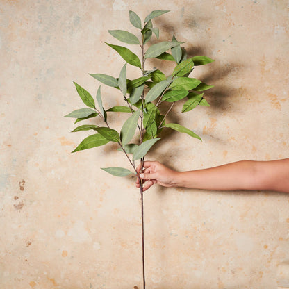 Drew Eucalyptus Spray Leaf Real Touch Stem