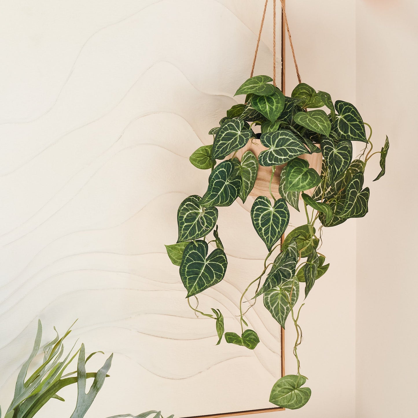 Anthurium Hanging Plant with Wood Hanging Pot